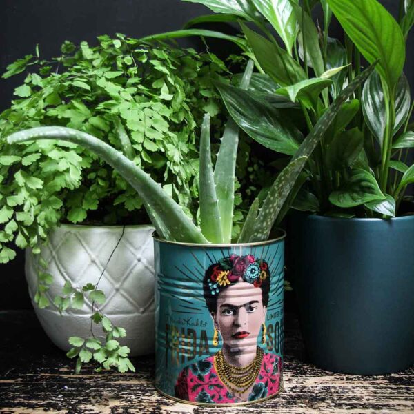 Frida Kahlo Tins - Blue & Green - Vintage Style Decorative Tins - Set of 2 - Image 3